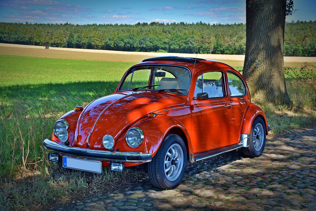 Bild eines VW Käfers unter einem Baum